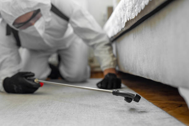 Professional Ant Control technician working in Village Green, NY